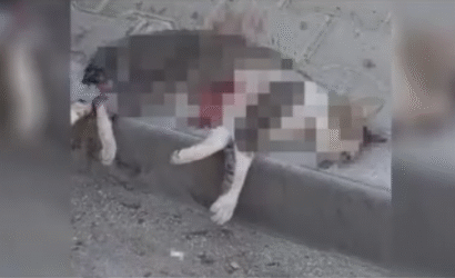 resim_2025-05-30_162310050