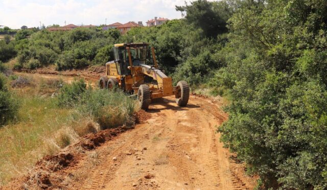 896f1503-56c5-44e3-82bf-9557182eb187